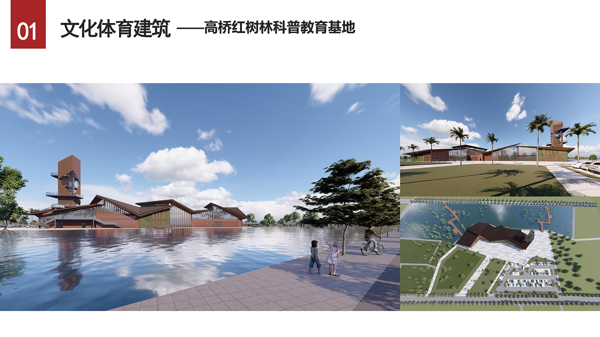 高桥红树林